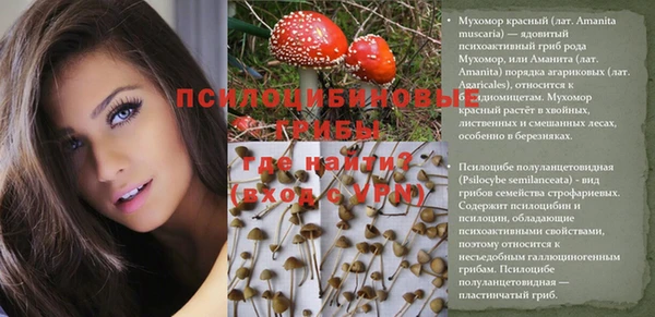 крисы Алексеевка