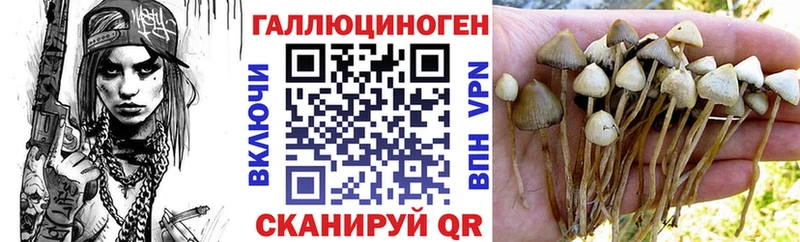 Псилоцибиновые грибы мицелий  хочу   Нефтекумск 