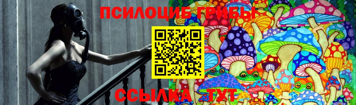 Нефтекумск  Псилоцибиновые грибы ЛСД  Вход с VPN 